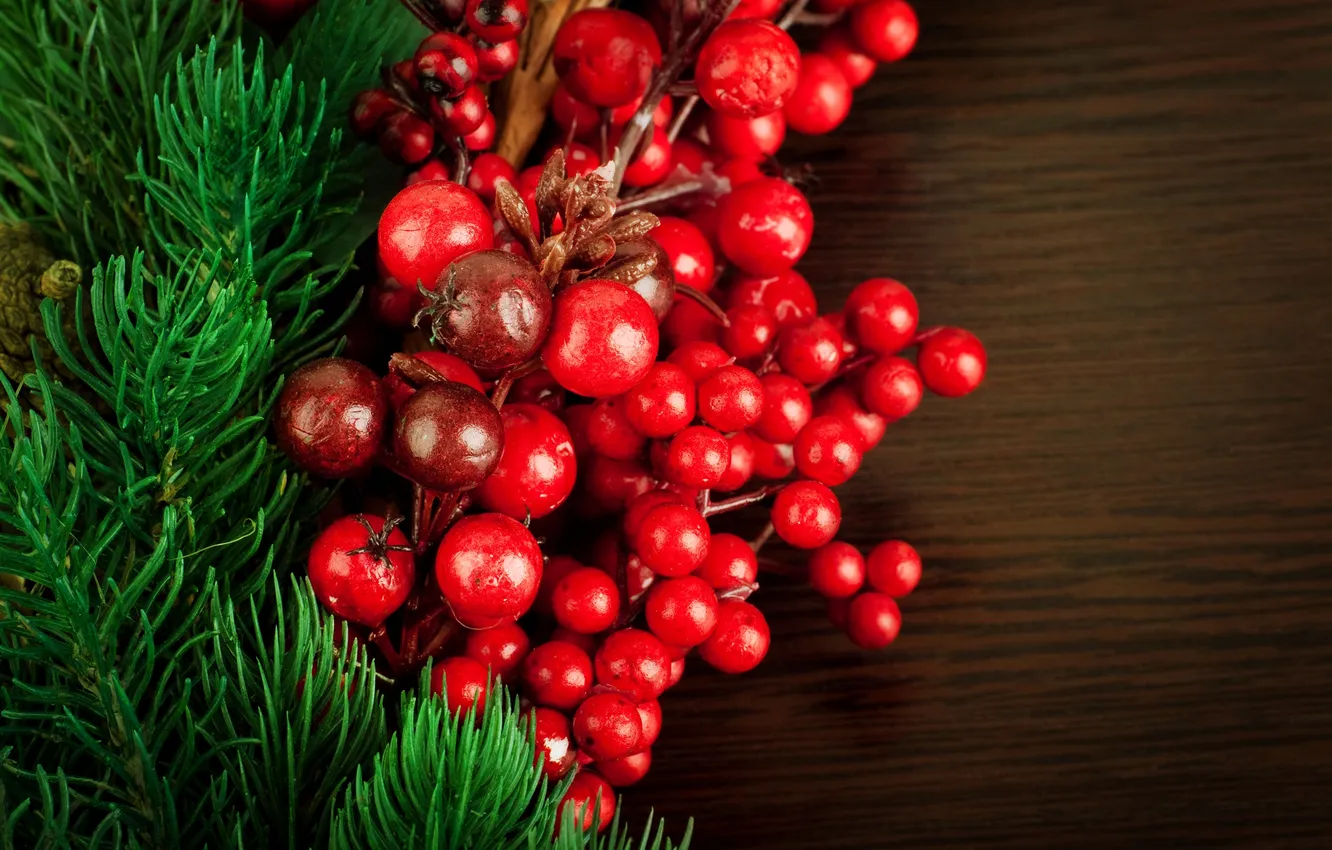 Photo wallpaper berries, plant, tree, spruce, branch, red, Holly, Holly
