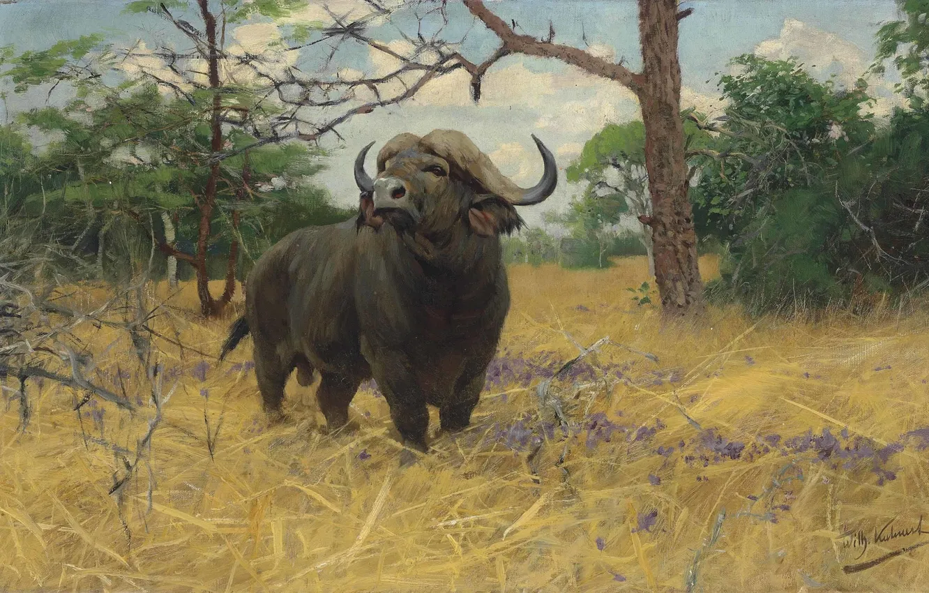 Photo wallpaper German painter, Friedrich Wilhelm Kunert, German painter, Friedrich Wilhelm Kuhnert, A Kaffir buffalo in Savannah
