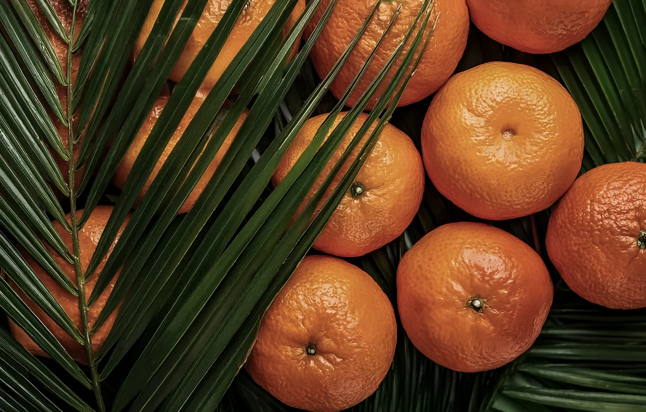 Photo wallpaper leaves, plant, orange, a lot, AI art, neural network