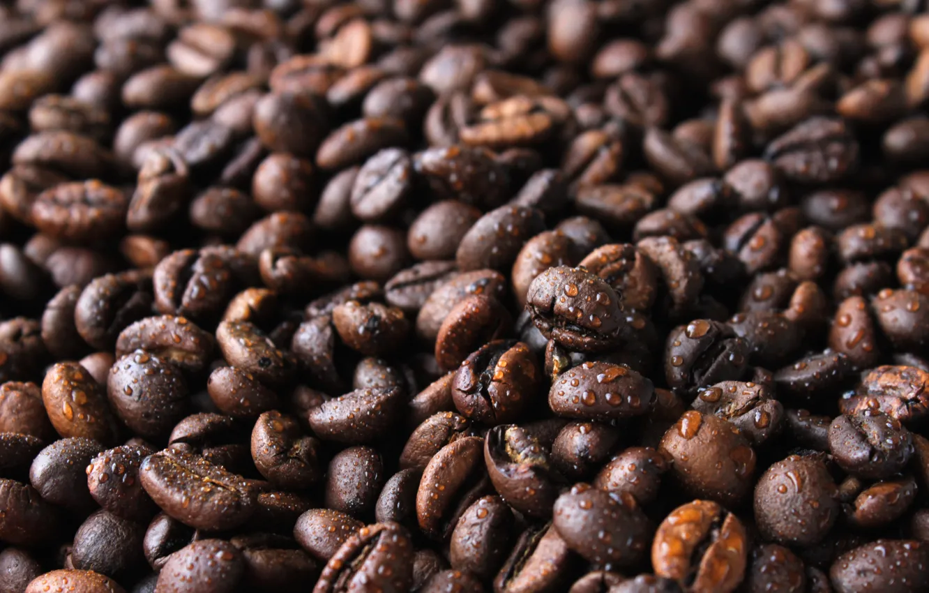 Photo wallpaper drops, coffee, water drops, coffee bean, coffee drops, coffee after the rain