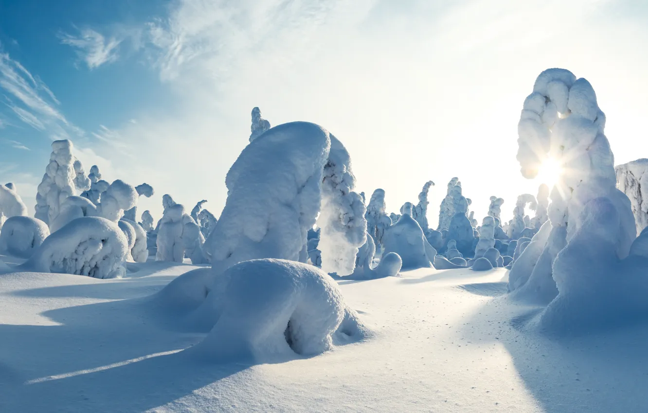 Photo wallpaper winter, snow, trees, panorama, the snow, Sunny day, Finland, Finland