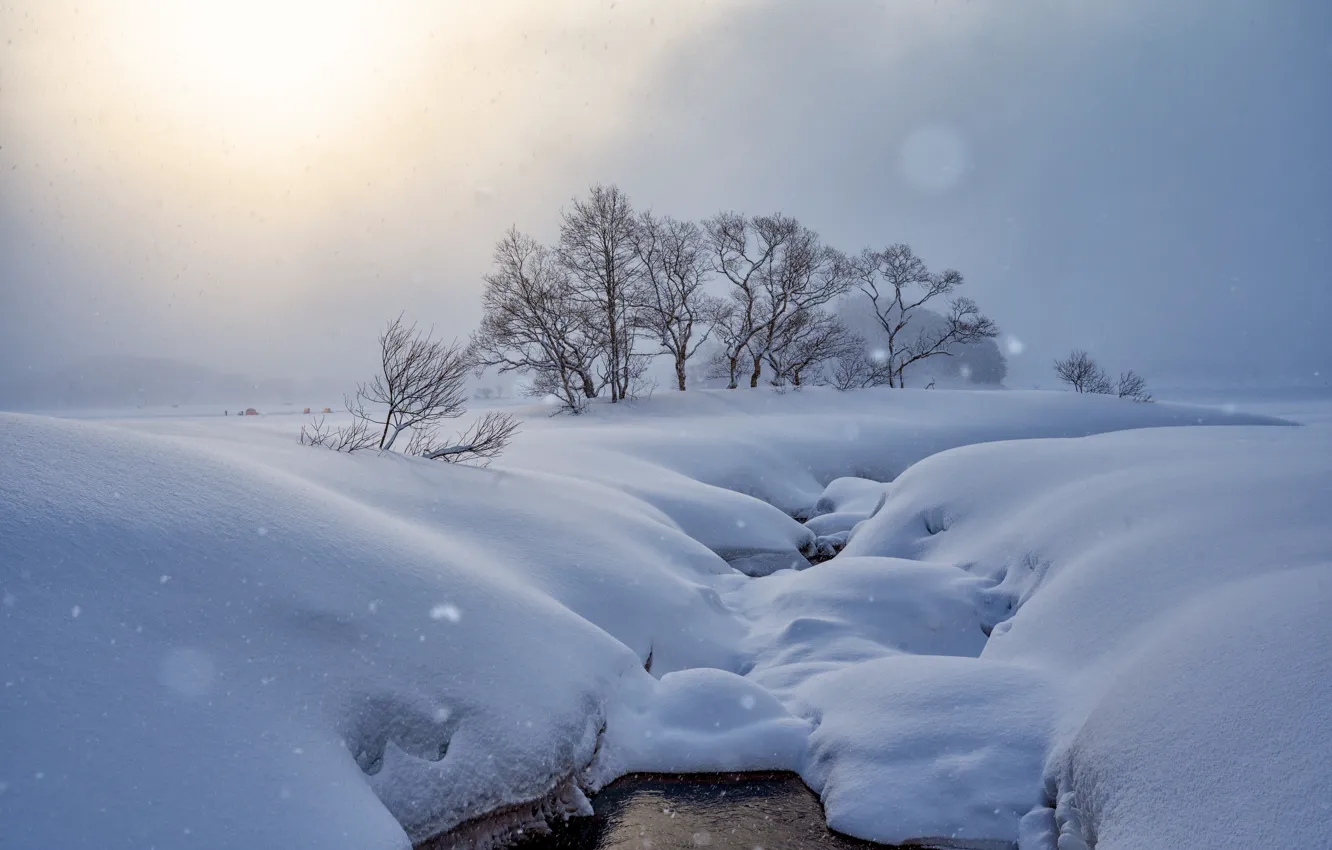 Photo wallpaper winter, snow, trees, morning, Japan, the snow, Japan, Blizzard