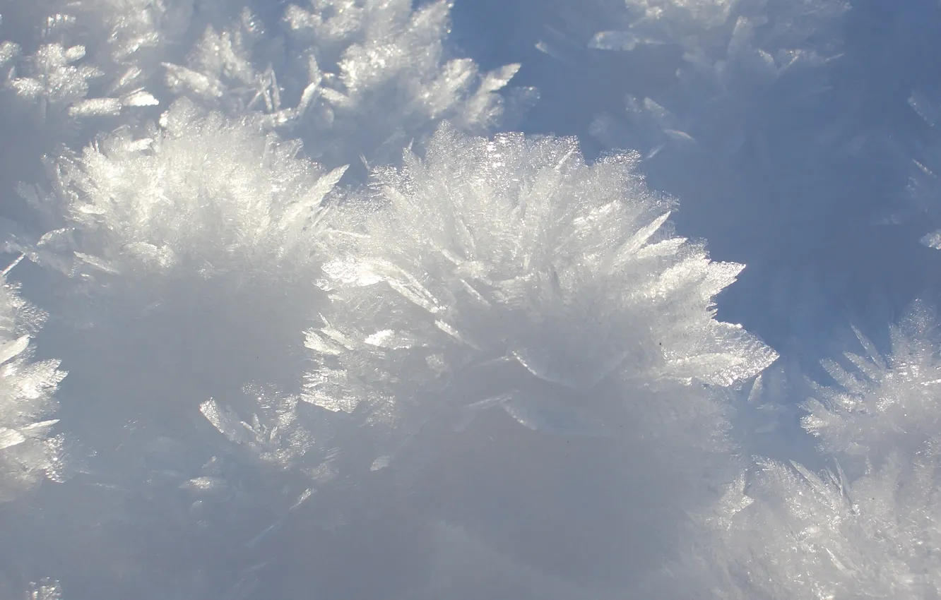 Photo wallpaper ice, macro, snowflakes