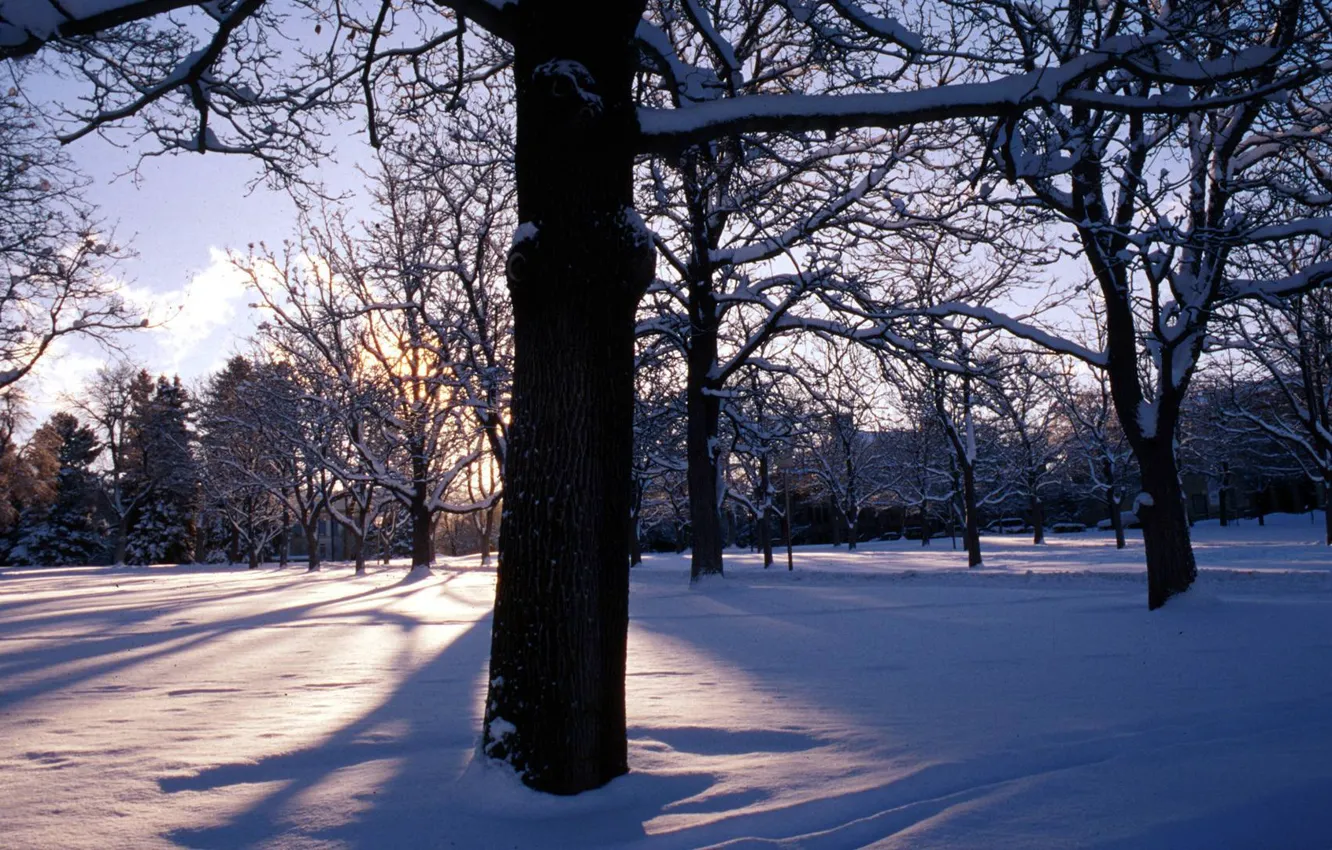 Photo wallpaper landscape, winter, snow