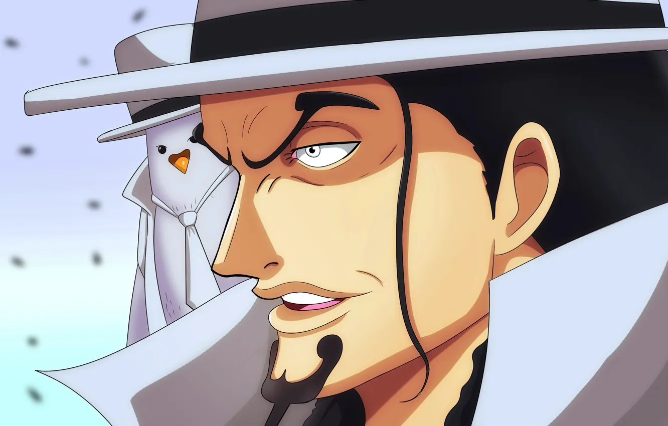 Photo wallpaper pirate, One Piece, One Piece