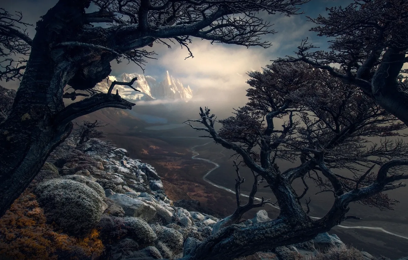 Photo wallpaper trees, mountains, nature, South America, Patagonia
