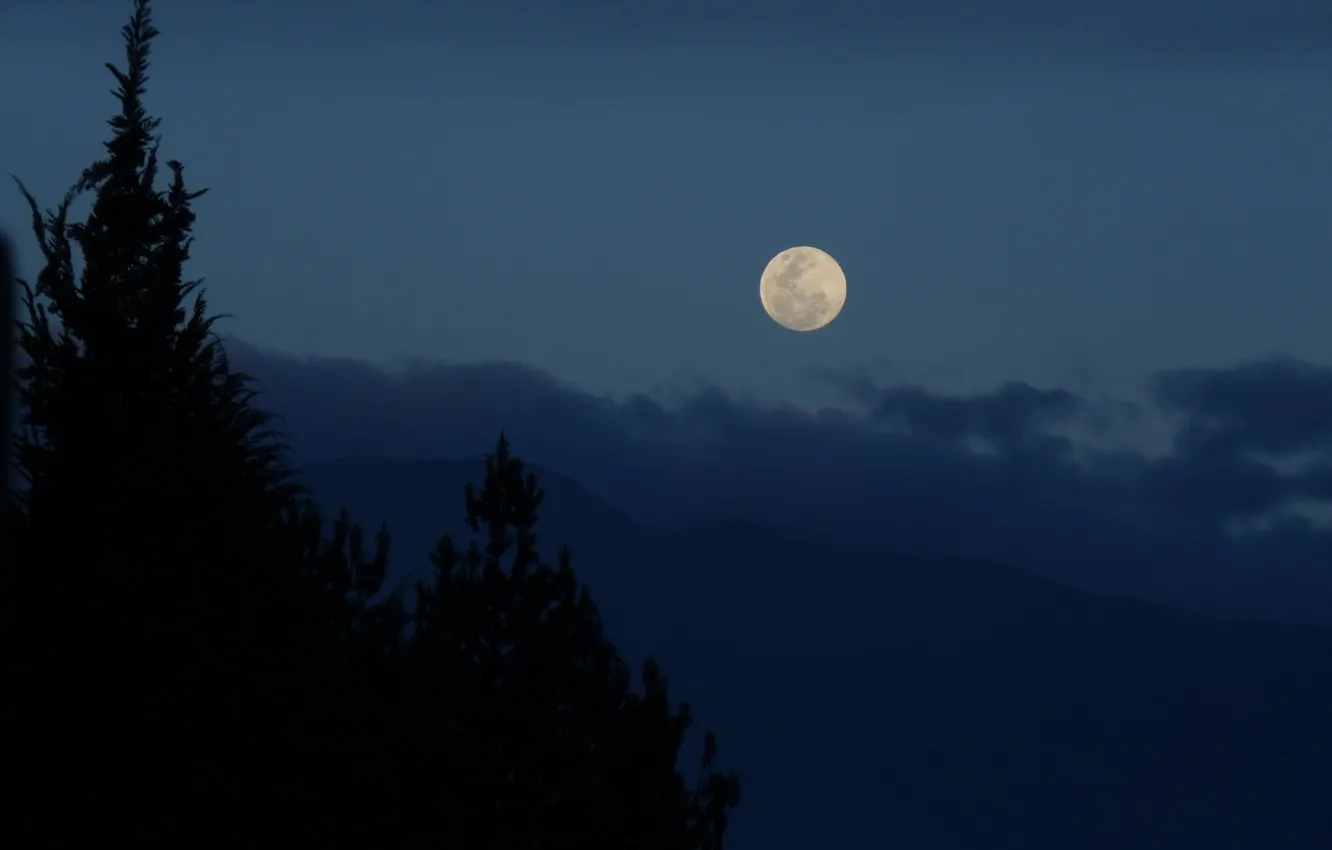 Photo wallpaper the sky, trees, mountains, nature, the moon, the evening, the full moon