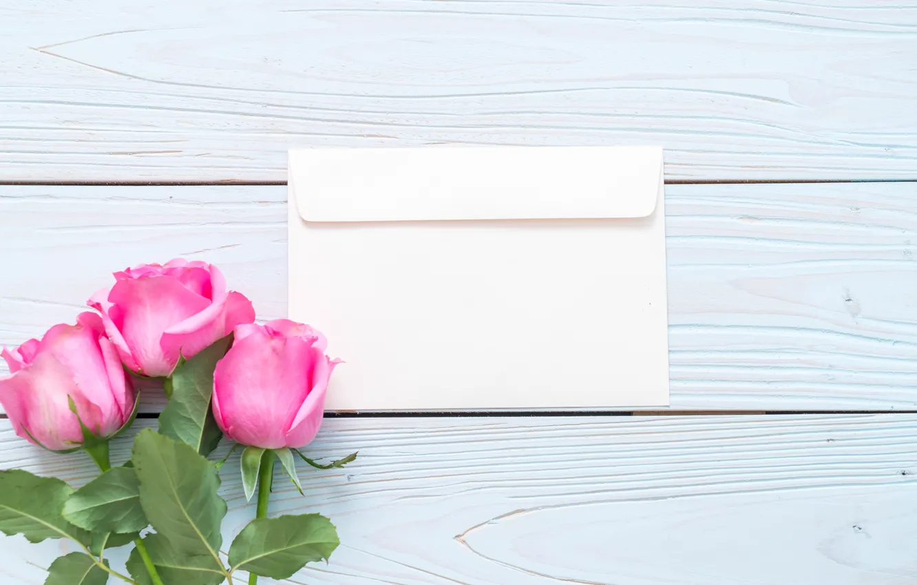 Photo wallpaper flowers, roses, pink, fresh, wood, pink, flowers, roses