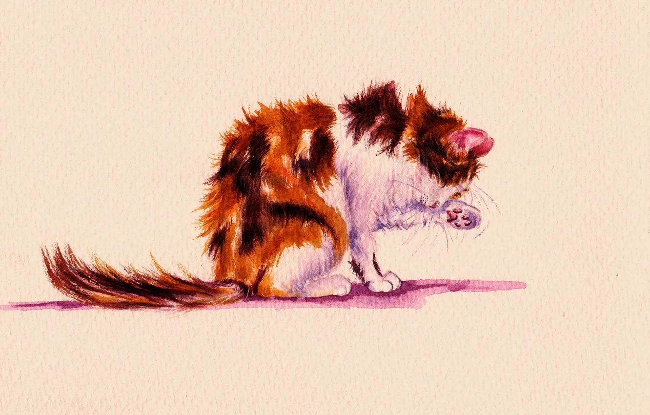 Photo wallpaper cat, cat, watercolor, to clean