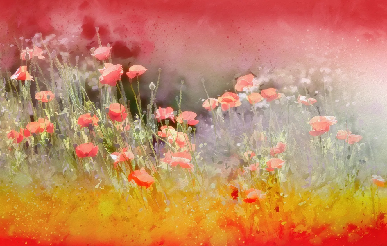 Photo wallpaper flowers, background, color