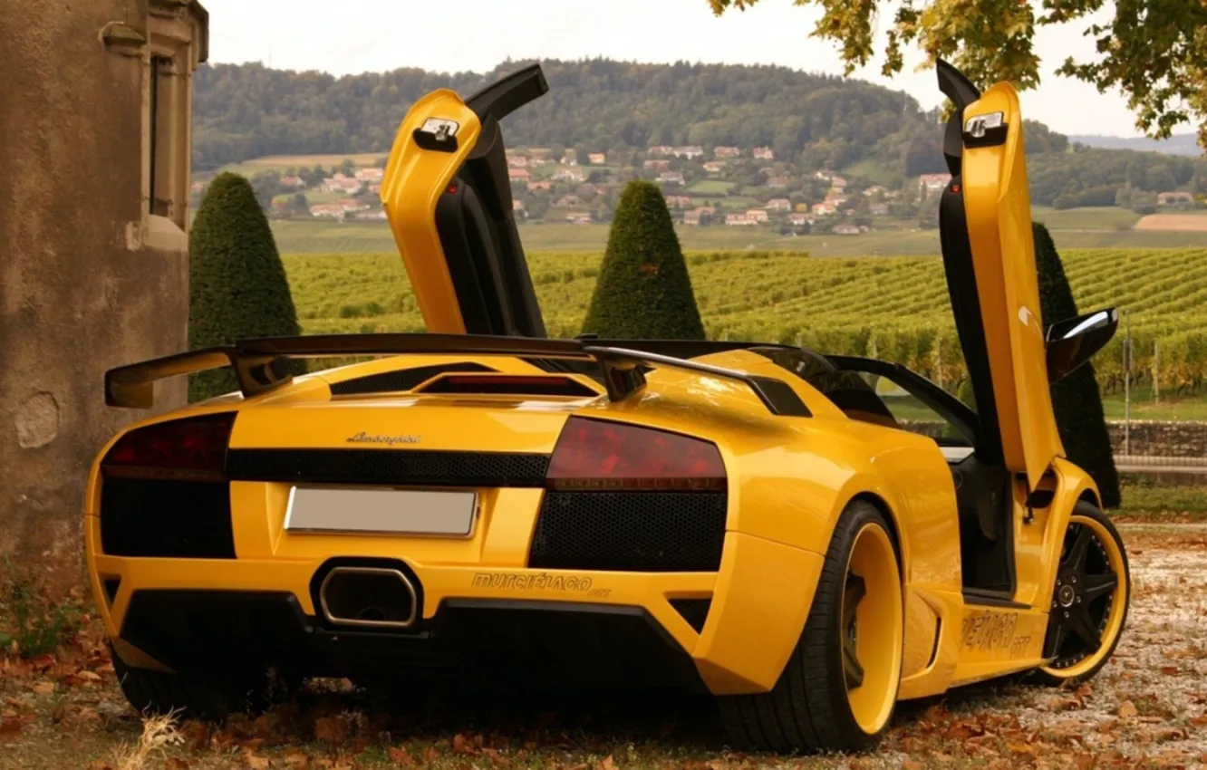 Photo wallpaper yellow, tuning, lamborghini, murcielago, Lamborghini, nature.