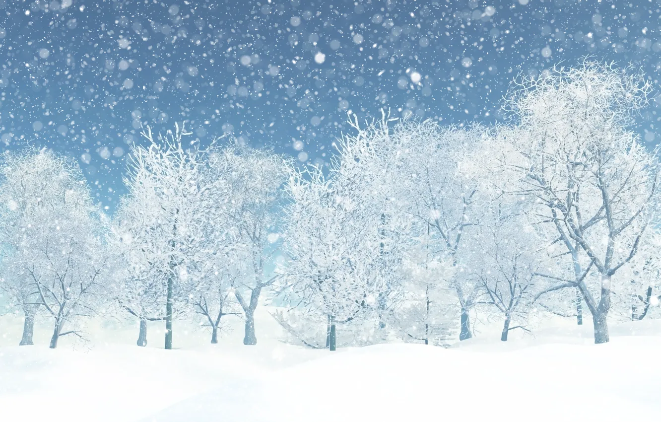 Photo wallpaper winter, frost, forest, snow, trees, branches, rendering, graphics