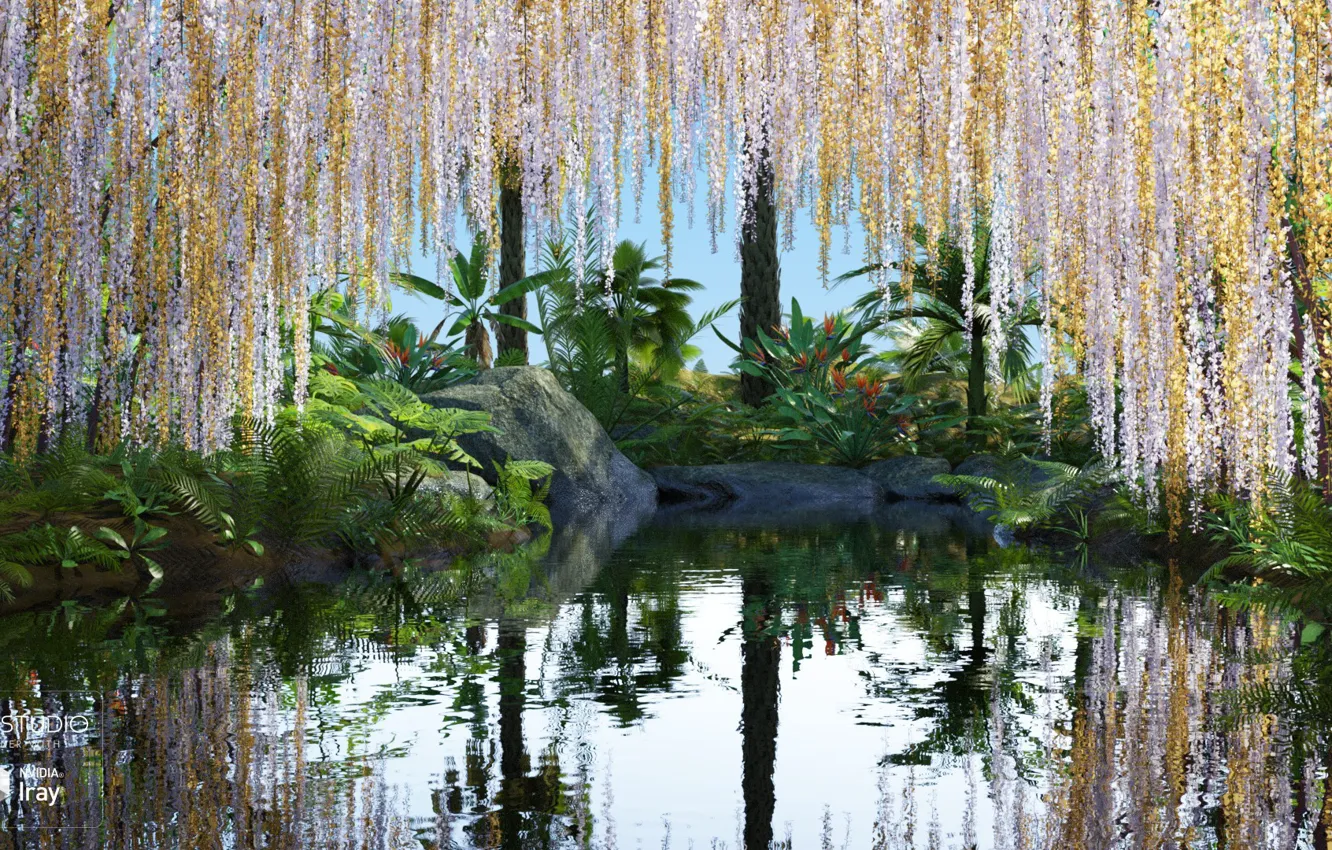 Photo wallpaper reflection, stones, vegetation, pond, Secret River