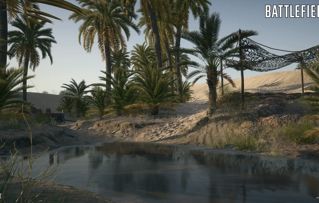 Photo wallpaper sand, palm trees, tent, Battlefield 1, Suez