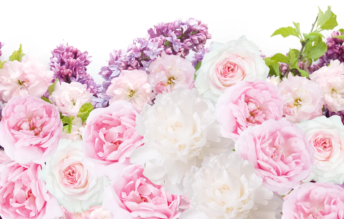 Photo wallpaper flowers, roses, lilac, peonies