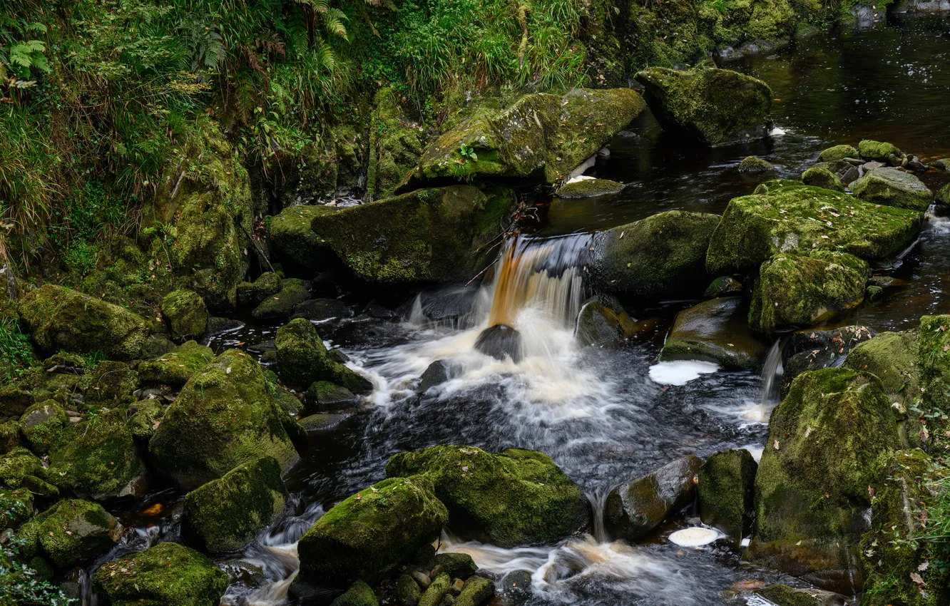 Photo wallpaper stream, stones, moss