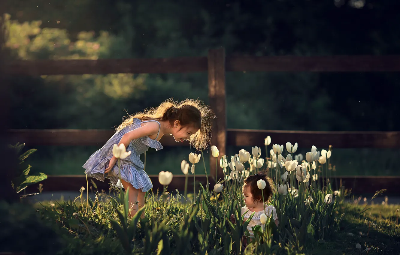 Photo wallpaper flowers, nature, children, girls, the game, spring, tulips, Marianne Smolin