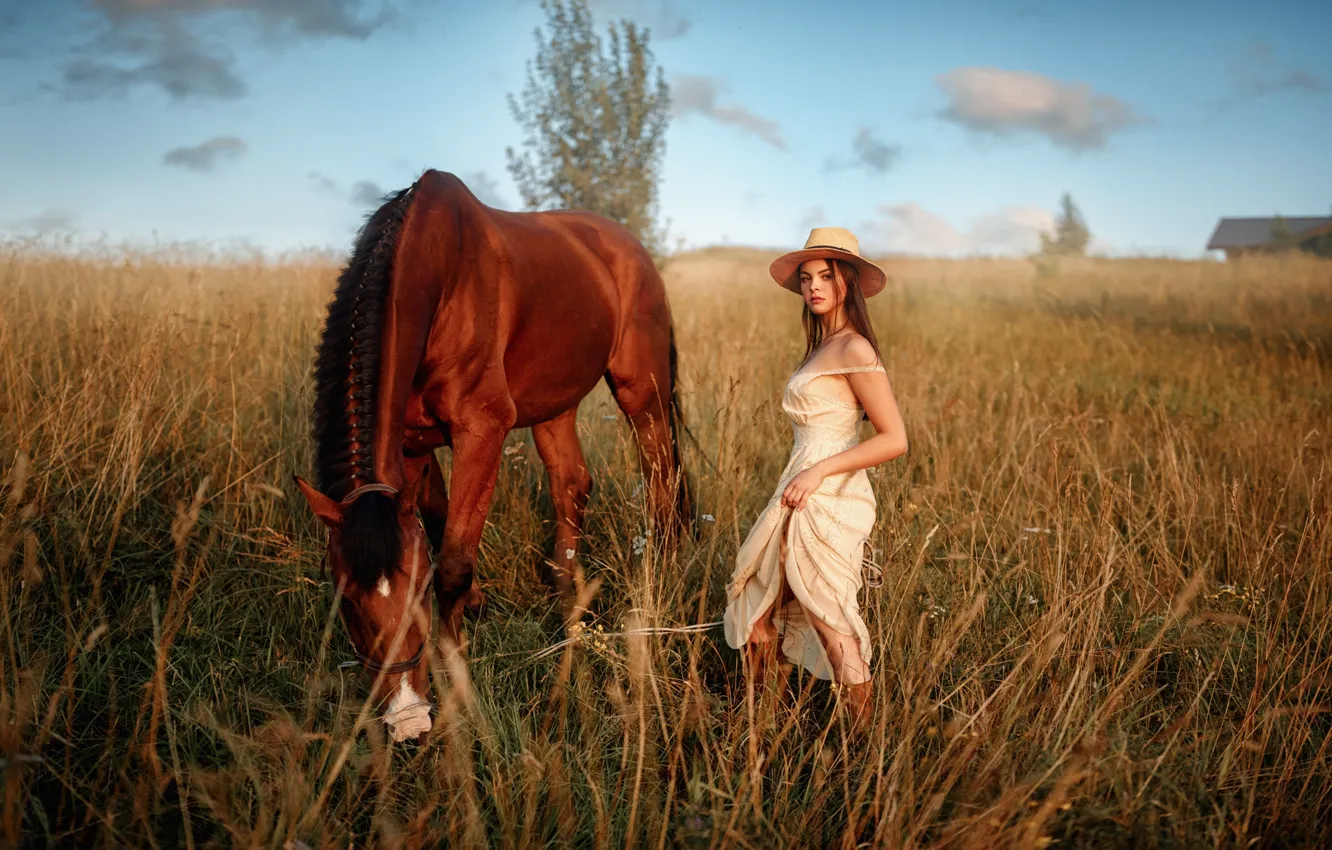 Photo wallpaper field, the sky, grass, girl, horse, horse, George Chernyadev, Georgy Chernyadyev