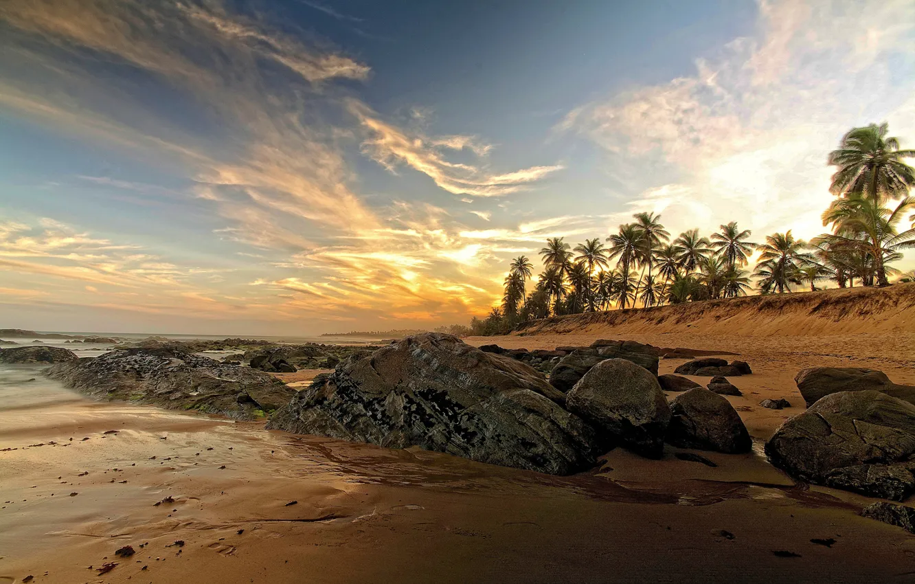 Photo wallpaper sand, sea, beach, stones, palm trees