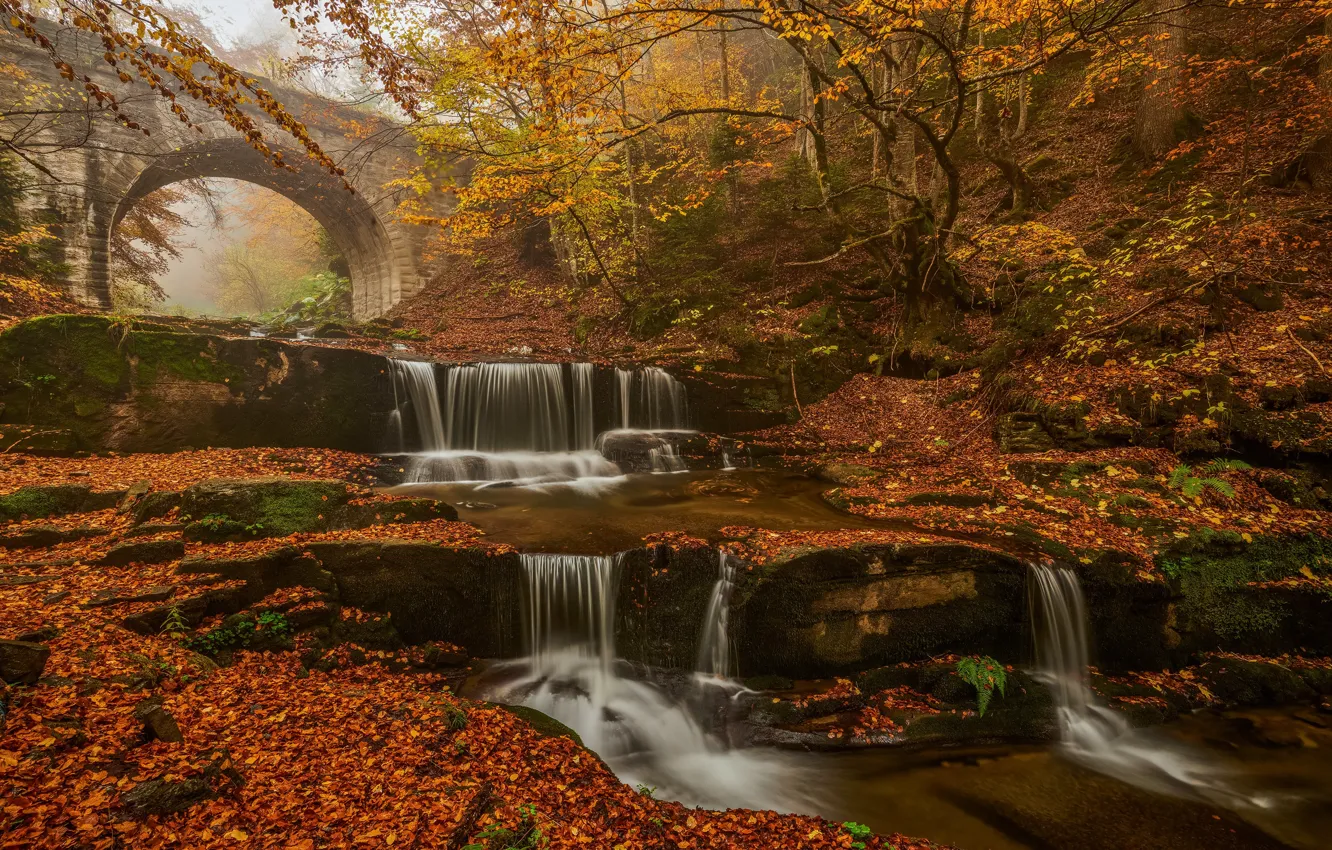Photo wallpaper waterfall, reddish colors, leaves, forest, autumn