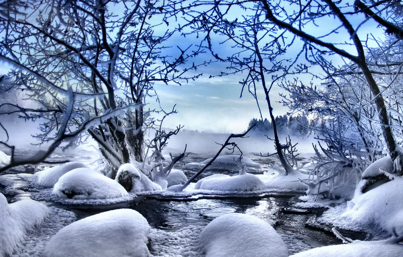 Photo wallpaper winter, snow, trees, nature, nature, winter, snow, tree