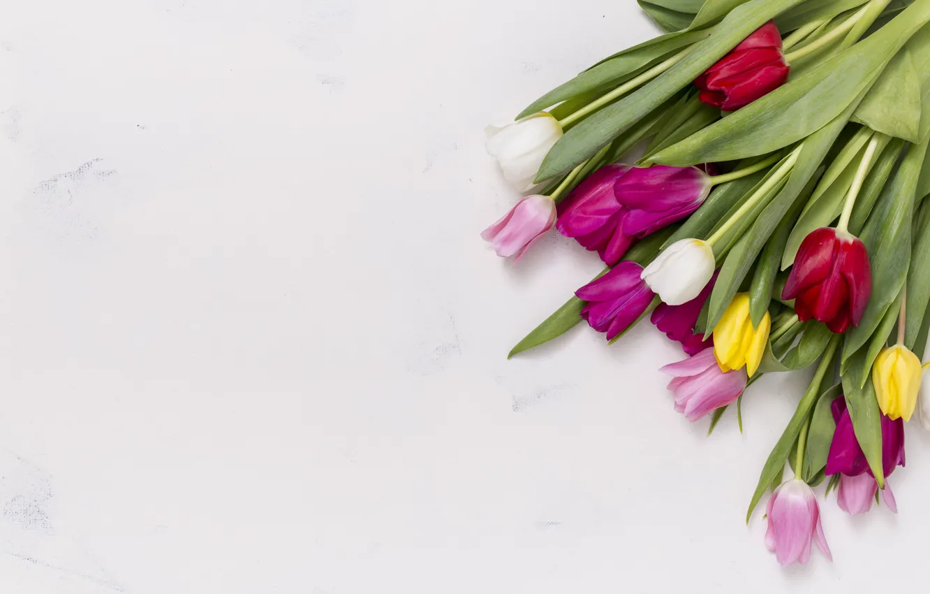 Photo wallpaper bouquet, colorful, tulips, tulip, bouguet