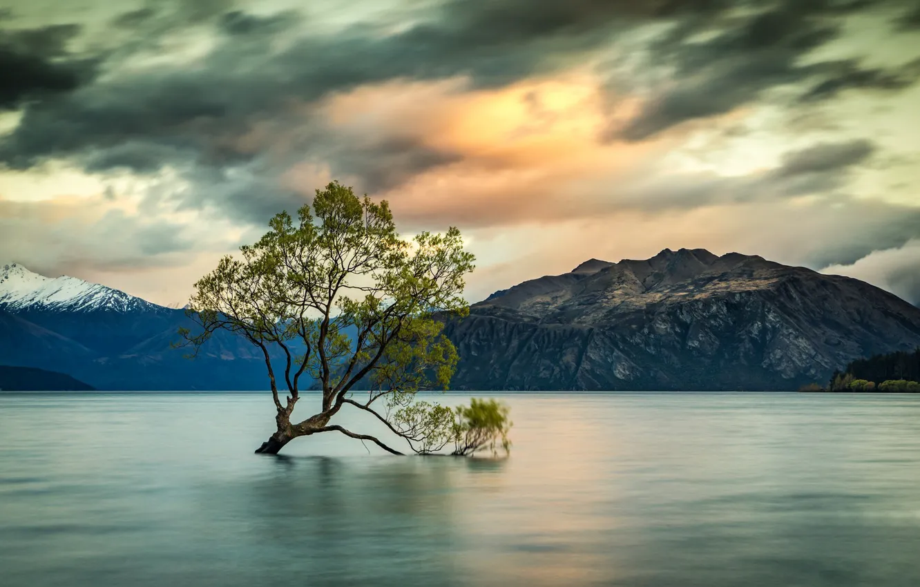 Photo wallpaper trees, mountains, lake