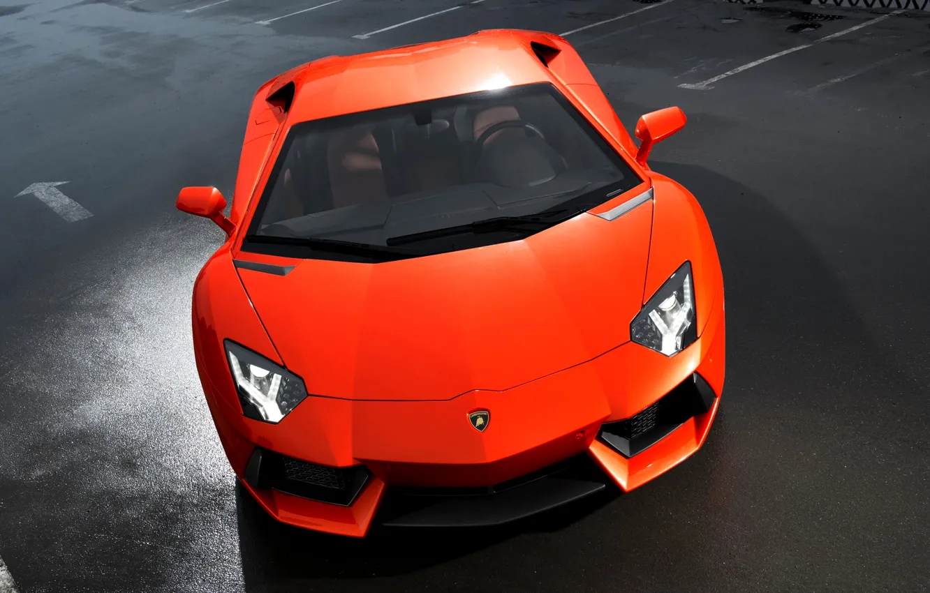 Photo wallpaper Lamborghini, Orange, The hood, LP700-4, Aventador, Sports car, Poisonous