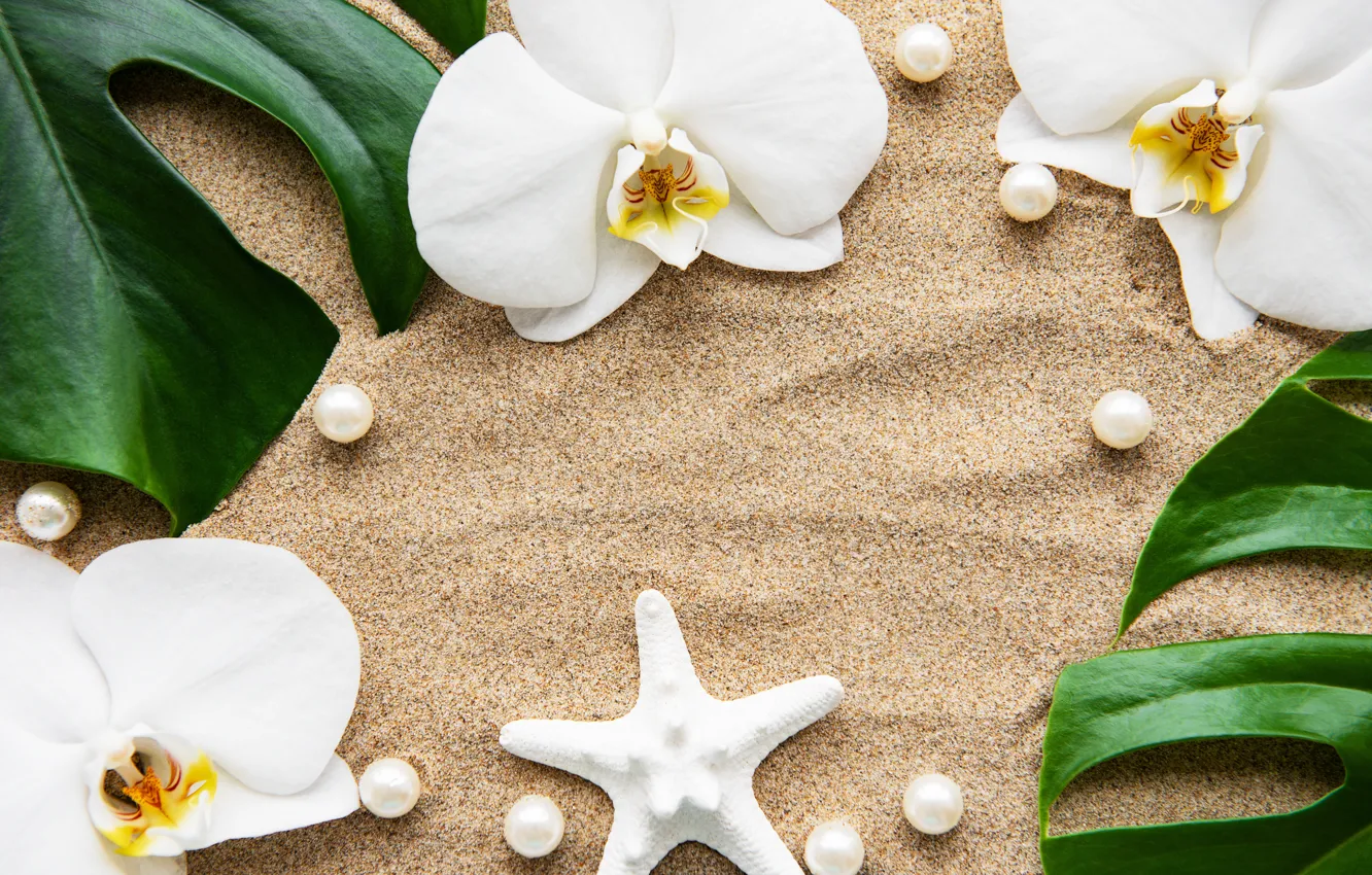 Photo wallpaper sand, leaves, flowers, white, Orchid, flowers, sand, orchid