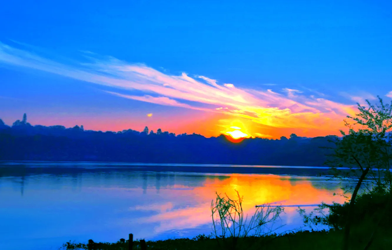 Photo wallpaper grass, sky, trees, water, lake, morning, sun, bushes