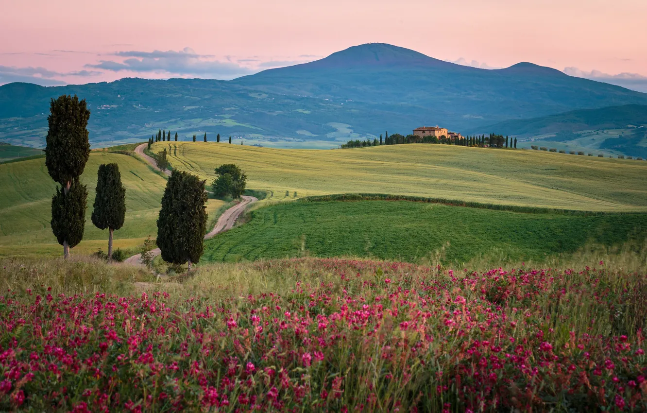 Photo wallpaper spring, Italy, Tuscany, Val d'orcia