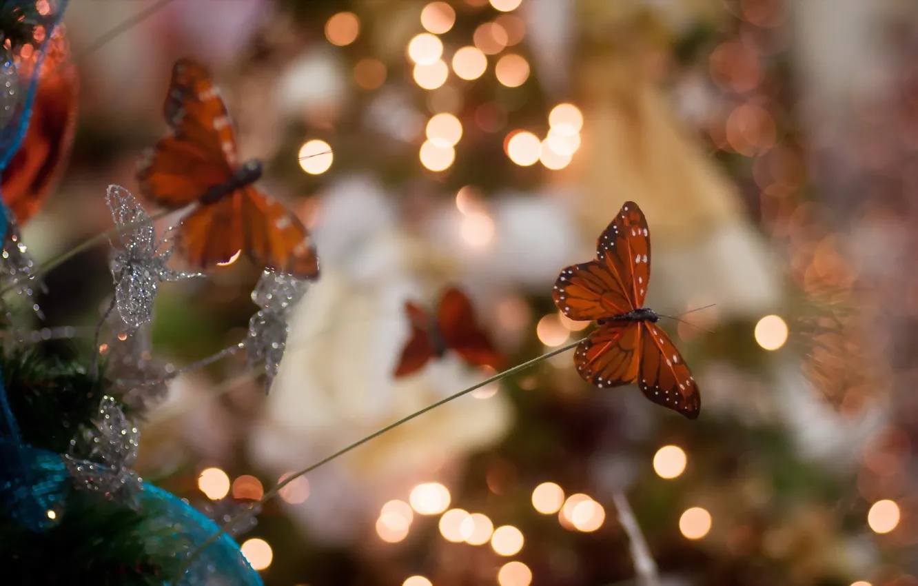 Photo wallpaper macro, background, butterfly, toy