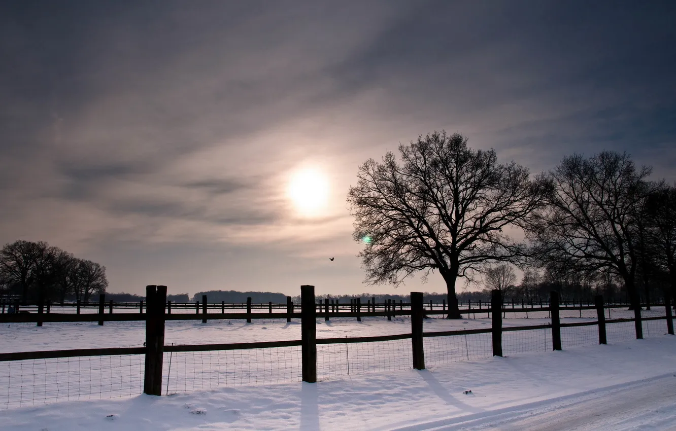 Photo wallpaper winter, field, sunset, the fence
