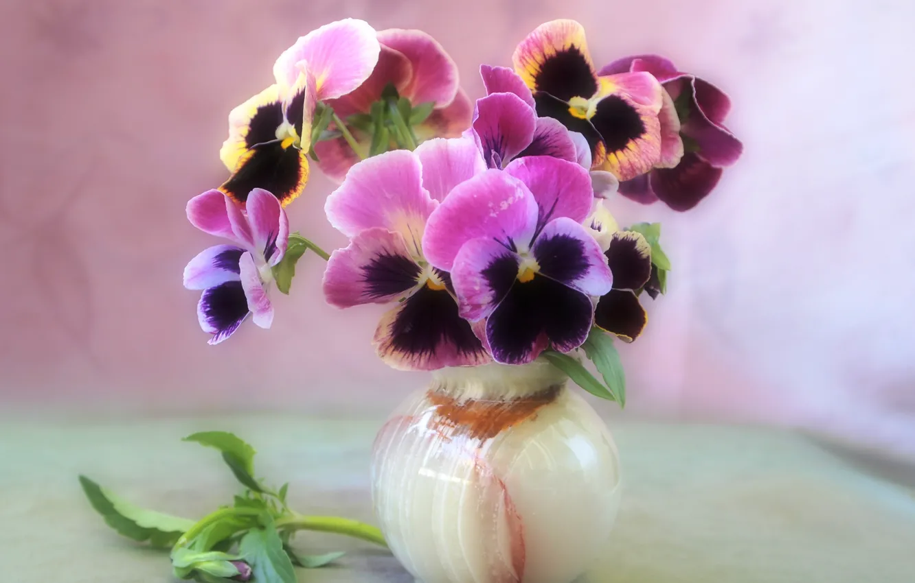 Photo wallpaper flowers, tenderness, bouquet, vase, still life, violet