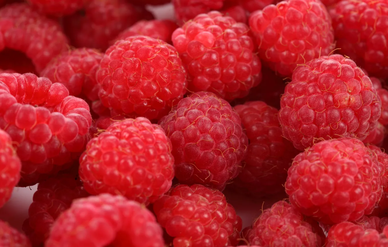 Photo wallpaper berries, raspberry, food