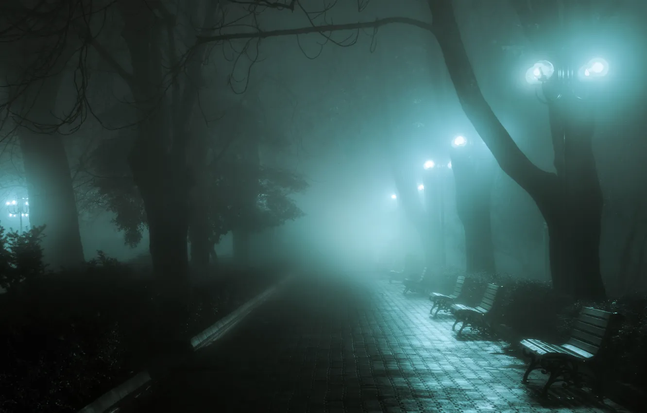 Photo wallpaper autumn, light, bench, night, the city, fog, street, shop