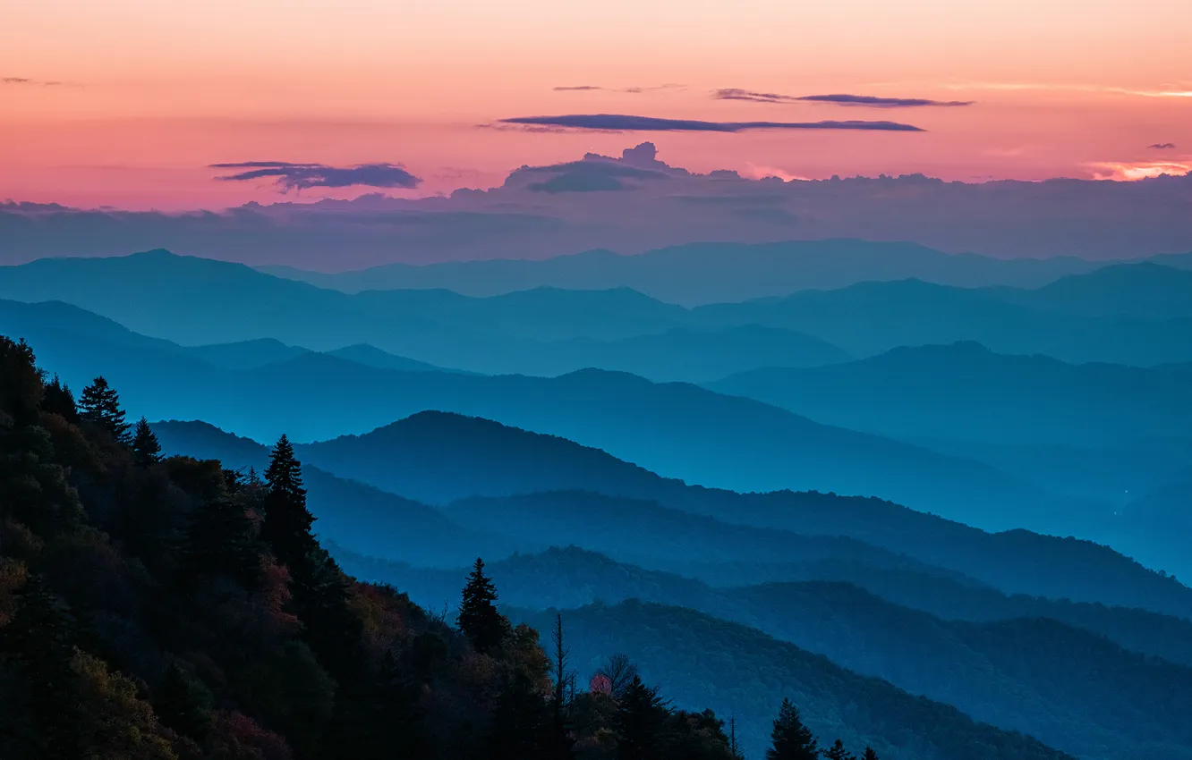 Photo wallpaper forest, the sky, trees, sunset, mountains, fog