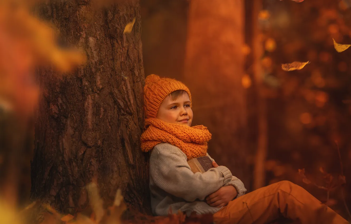 Photo wallpaper autumn, forest, look, trees, orange, nature, Park, background