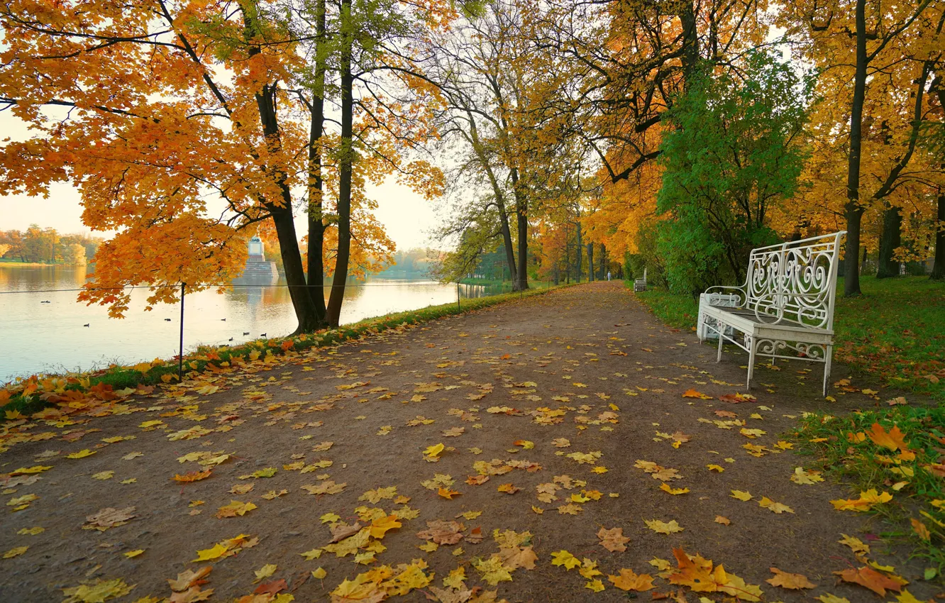 Photo wallpaper road, autumn, trees, bench, lake, pond, Park, branch