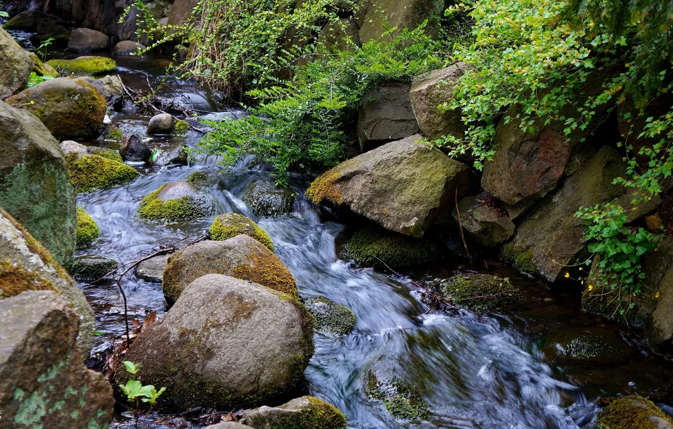 Photo wallpaper river, water, stones