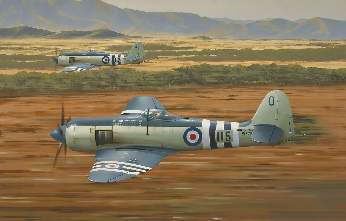 Photo wallpaper art, airplane, aviation, Sea Fury