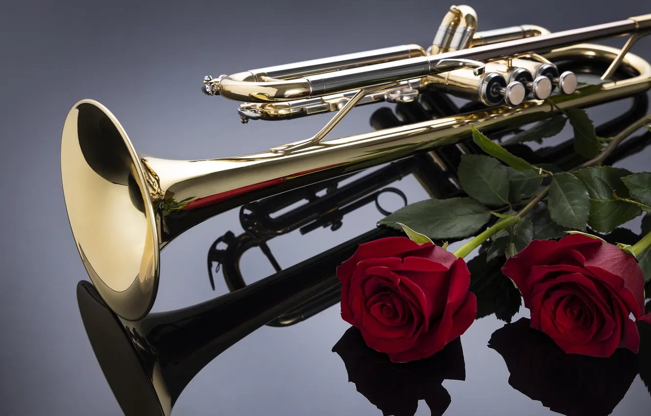 Photo wallpaper flowers, music, roses, pipe