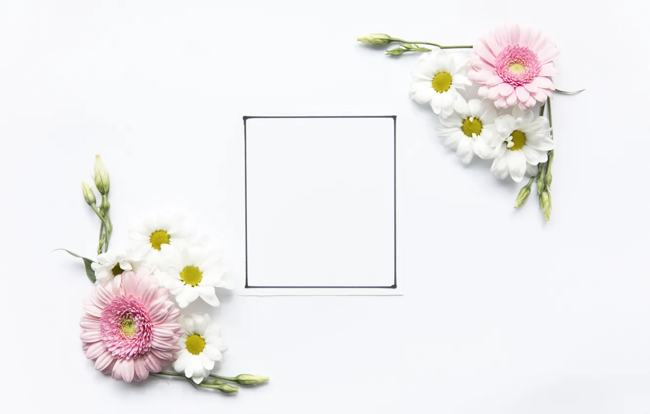 Photo wallpaper flowers, frame, flower, decor, decor, frame, compositions