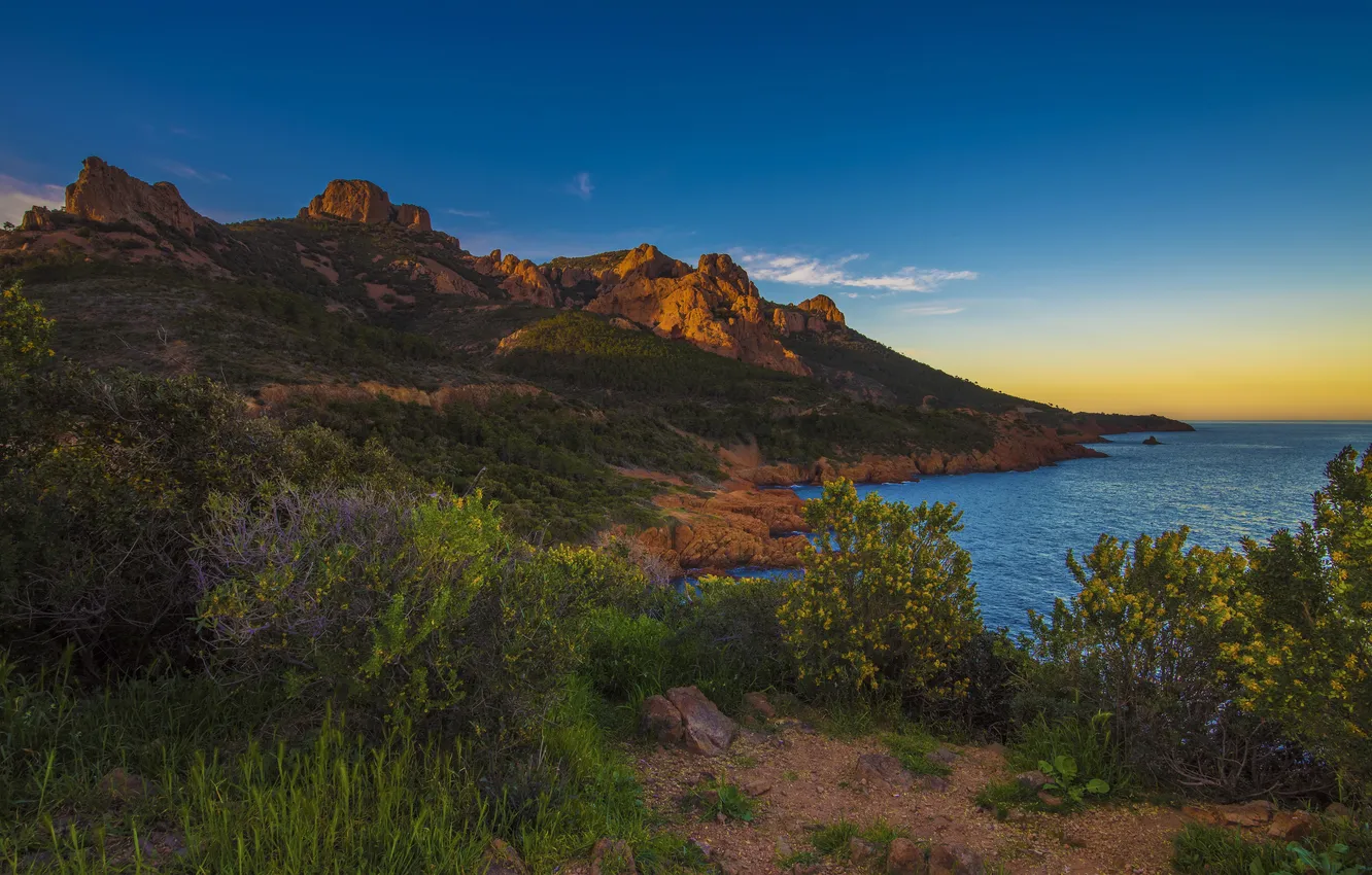 Photo wallpaper sea, rocks, coast, France, the bushes, French Riviera