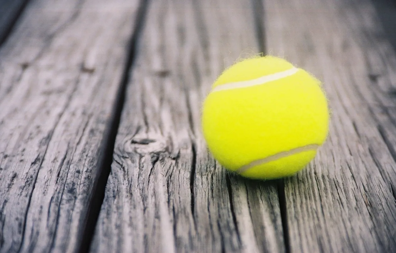 Photo wallpaper wallpaper, ball, Sport, Tennis