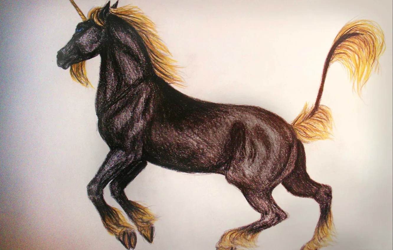 Photo wallpaper horse, figure, unicorn