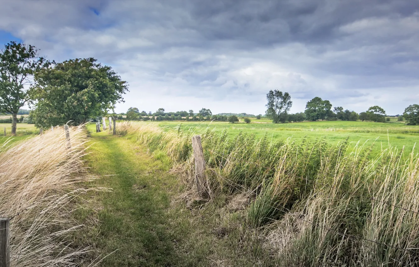 Photo wallpaper field, summer, the fence