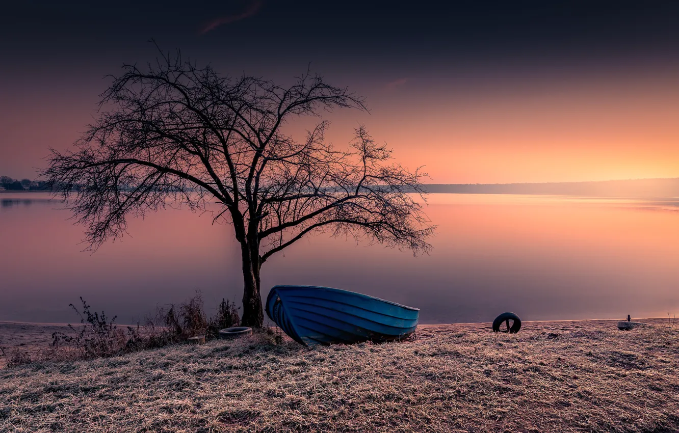 Photo wallpaper frost, trees, landscape, nature, lake, dawn, shore, boat