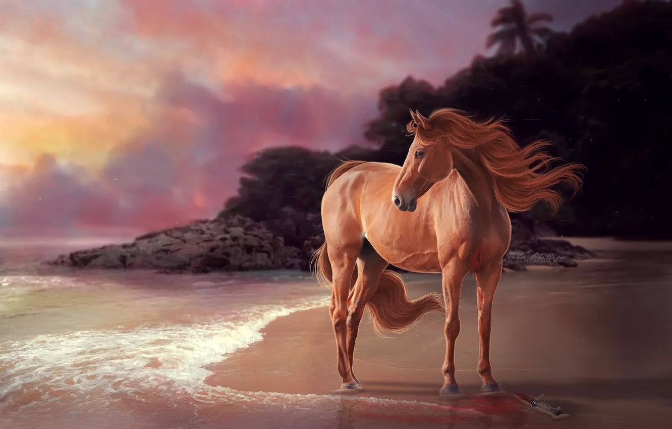Photo wallpaper sea, look, rendering, animal, shore, horse, mane