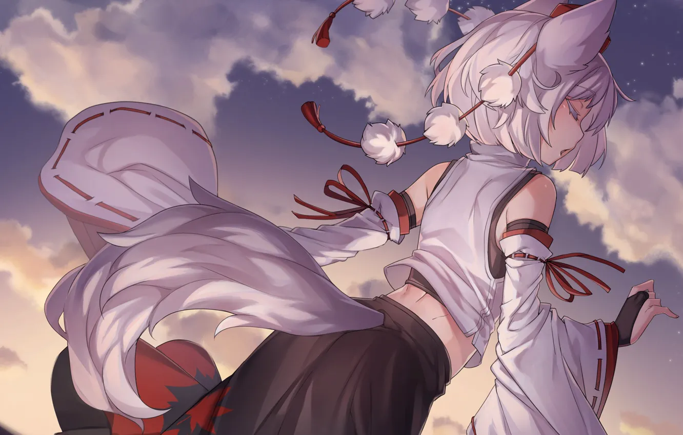 Photo wallpaper the sky, girl, ears, inubashiri momiji, Tohou Project